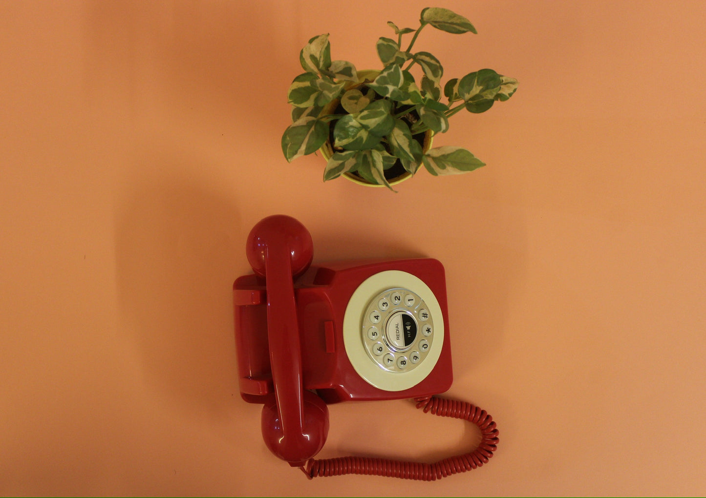 trringphone (pre-order)